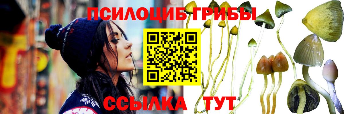 Кировск  Галлюциногенные грибы MAGIC MUSHROOMS  Вход с VPN 